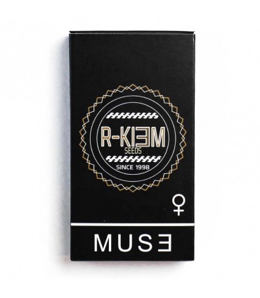 RKIEM SEEDS MUSE 3UDS