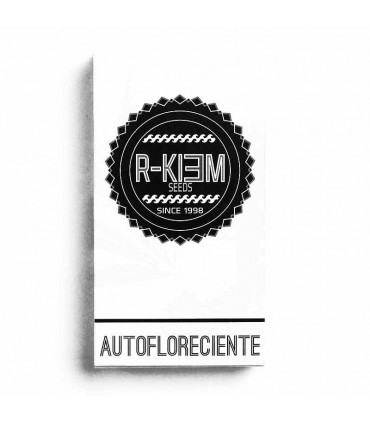 RKIEM SEEDS DARK KUSH AUTO 5UDS