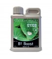 B1 BOOST 250ML CYCO