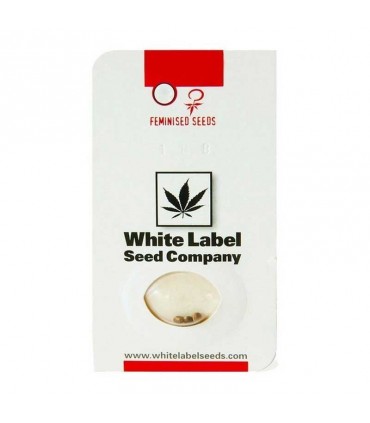 WHITE LABEL WEDDING CHEESECAKE 3UDS