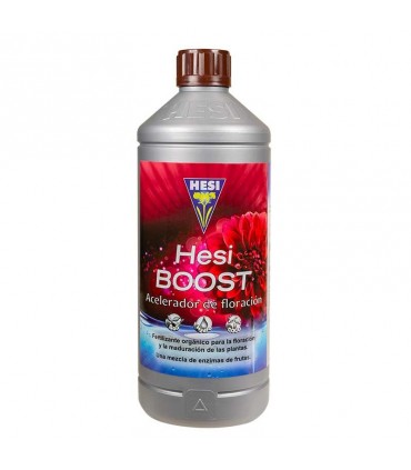 HESI BOOST 1L HESI