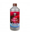 HESI BOOST 1L HESI