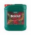 BOOST ACCELERATOR 5L CANNA