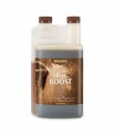 BIO BOOST 250ML CANNA