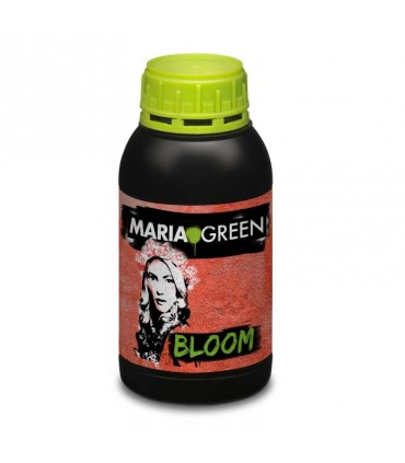 BLOOM 500ML MARIA GREEN