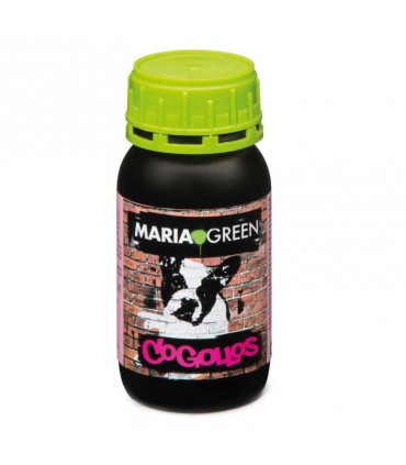 COGOLLO 250ML MARIA GREEN