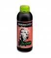 BLOOM 1L MARIA GREEN