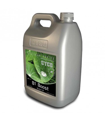 B1 BOOST 5L CYCO