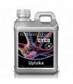 UPTAKE 1L CYCO