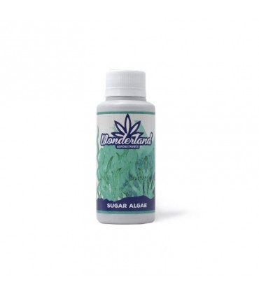 SUGAR ALGAE 120ML WONDERLAND