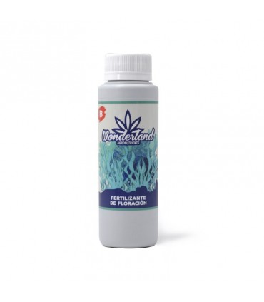 FLORACION B 250ML WONDERLAND