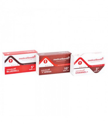 Medical Seeds Banana Purp 3uds | Semillas de colección | Hortitec distribución