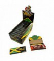 PACK JAMAICA 1 1/4 24UDS MONKEY KING