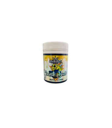 GIANT BUDS 52-34 120G WONDERLAND