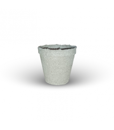 MACETA REDONDA BIODEGRADABLE 8,3X7,9CM 260CC JIFFY
