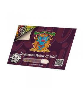 SWEET SEEDS TROPICANNA POISON XL AUTO 3+1UDS