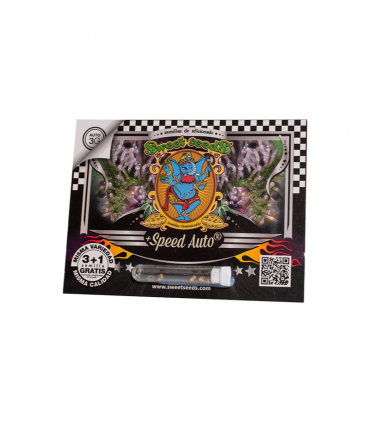 SWEET SEEDS + SPEED AUTO 3+1UDS