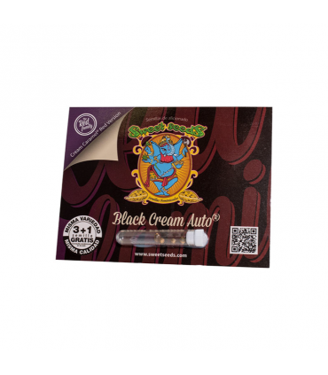 SWEET SEEDS BLACK CREAM AUTO 3+1UDS