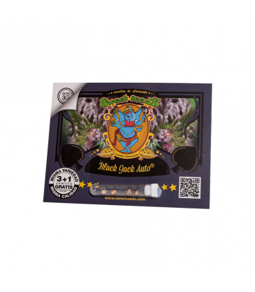 SWEET SEEDS BLACK JACK AUTO 3+1UDS