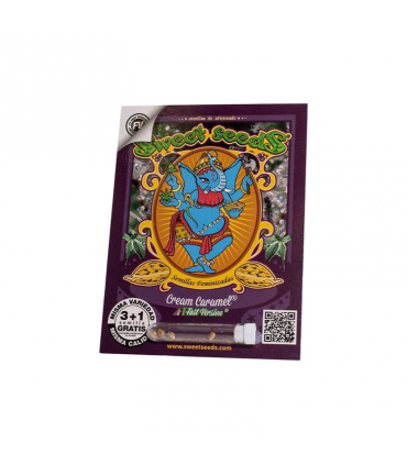 SWEET SEEDS CREAM CARAMEL F1 3+1UDS
