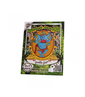 SWEET SEEDS GORILLA GIRL F1 3+1UDS