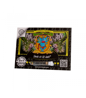 SWEET SEEDS JACK 47 XL AUTO 3+1UDS