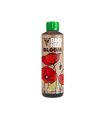 BIO HESI BLOOM 500ML HESI