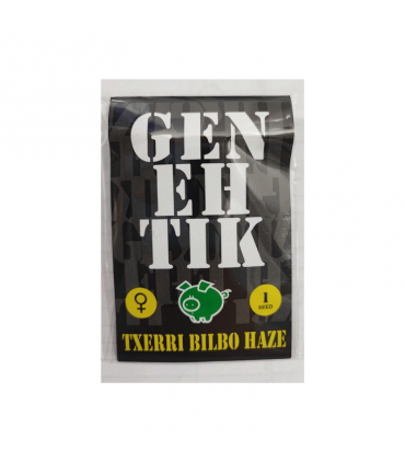 GENEHTIK TXERRI BILBO HAZE 1UD