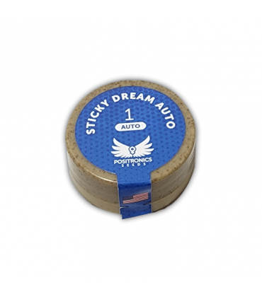 POSITRONICS STICKY DREAM AUTO 1UD