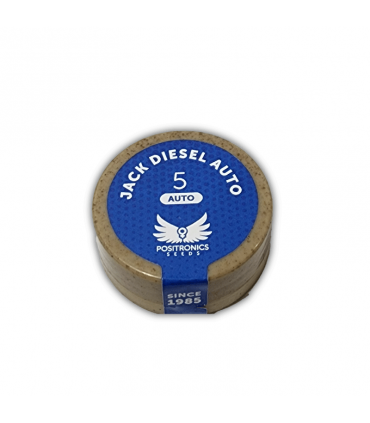 POSITRONICS JACK DIESEL AUTO 5UDS