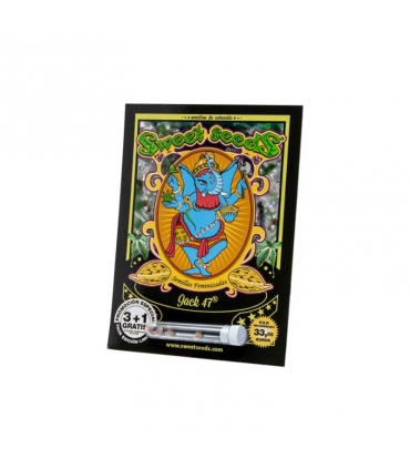 SWEET SEEDS JACK 47 F1 3+1UDS