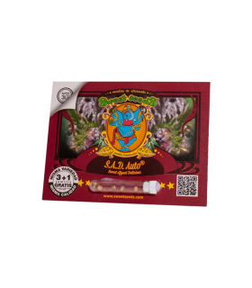 SWEET SEEDS S.A.D AUTO 3+1UDS