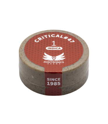 POSITRONICS CRITICAL 47 1UD