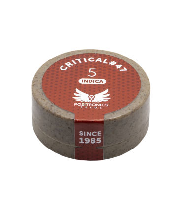 POSITRONICS CRITICAL 47 5UDS