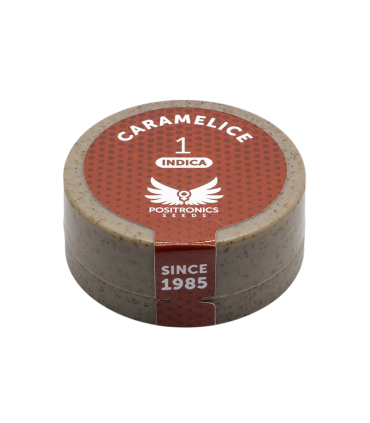 POSITRONICS CARAMELICE 1UD