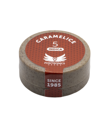 POSITRONICS CARAMELICE 5UDS