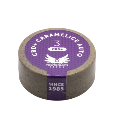 POSITRONICS CBD + CARAMELICE AUTO 3UDS