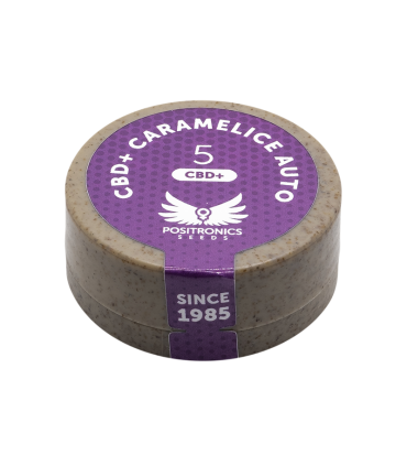 POSITRONICS CBD + CARAMELICE AUTO 5UDS