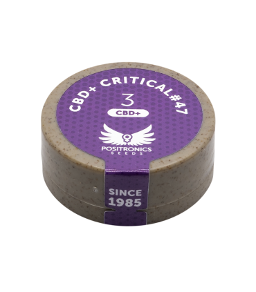 POSITRONICS CBD + CRITICAL 47 3UDS