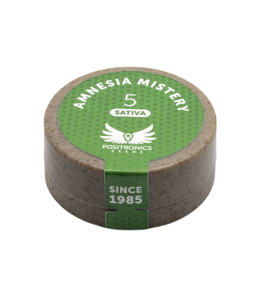 POSITRONICS AMNESIA MISTERY 5UDS