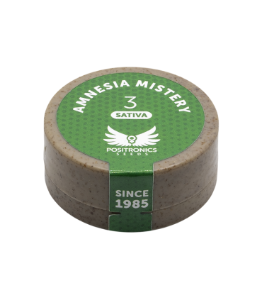 POSITRONICS AMNESIA MISTERY 3UDS