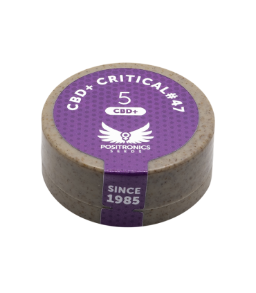POSITRONICS CBD+ CRITICAL 47 5UDS