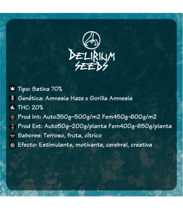 DELIRIUM SEEDS CALIFORNIA AMNESIA 2UDS