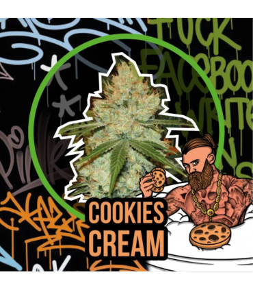 DELIRIUM SEEDS COOKIES CREAM FAST 4UDS