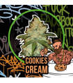 DELIRIUM SEEDS COOKIES CREAM FAST 4UDS