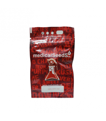MEDICAL SEEDS GELATO 242 3+2UDS