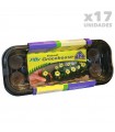 MICRO INVERNADERO CON 12 JIFFY 7 36MM 17UDS