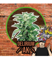 DELIRIUM SEEDS DELIRIUM AK FAST 2UDS