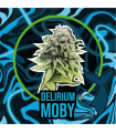 DELIRIUM SEEDS DELIRIUM MOBY AUTO 2UDS