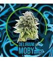 DELIRIUM SEEDS DELIRIUM MOBY AUTO 4UDS